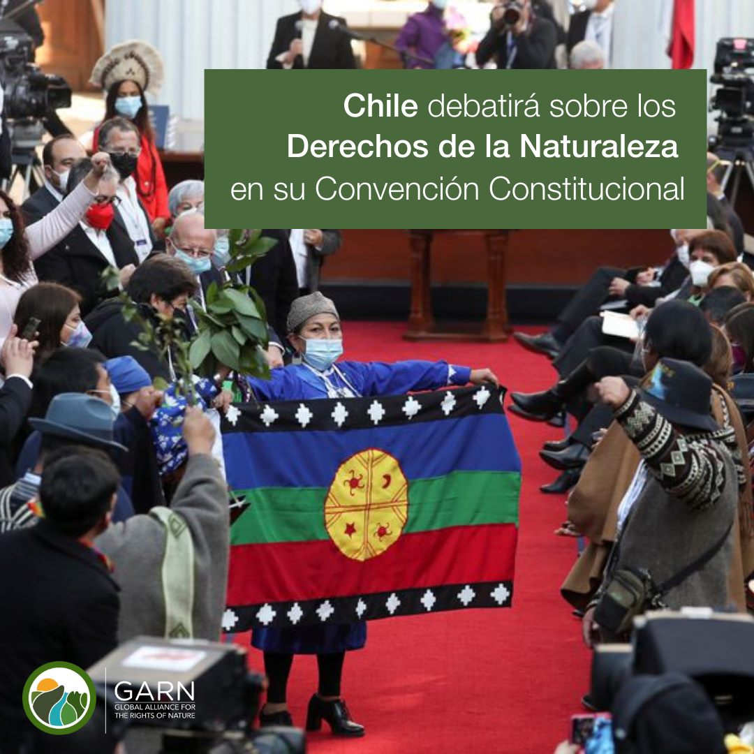 Comisión sobre Medio Ambiente y Derechos de la Naturaleza en la Convención Constitucional chilena