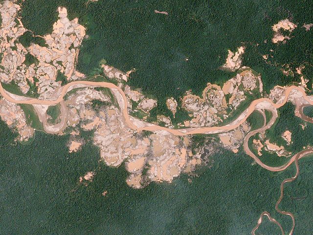 Amazonas, una entidad viva amenazada