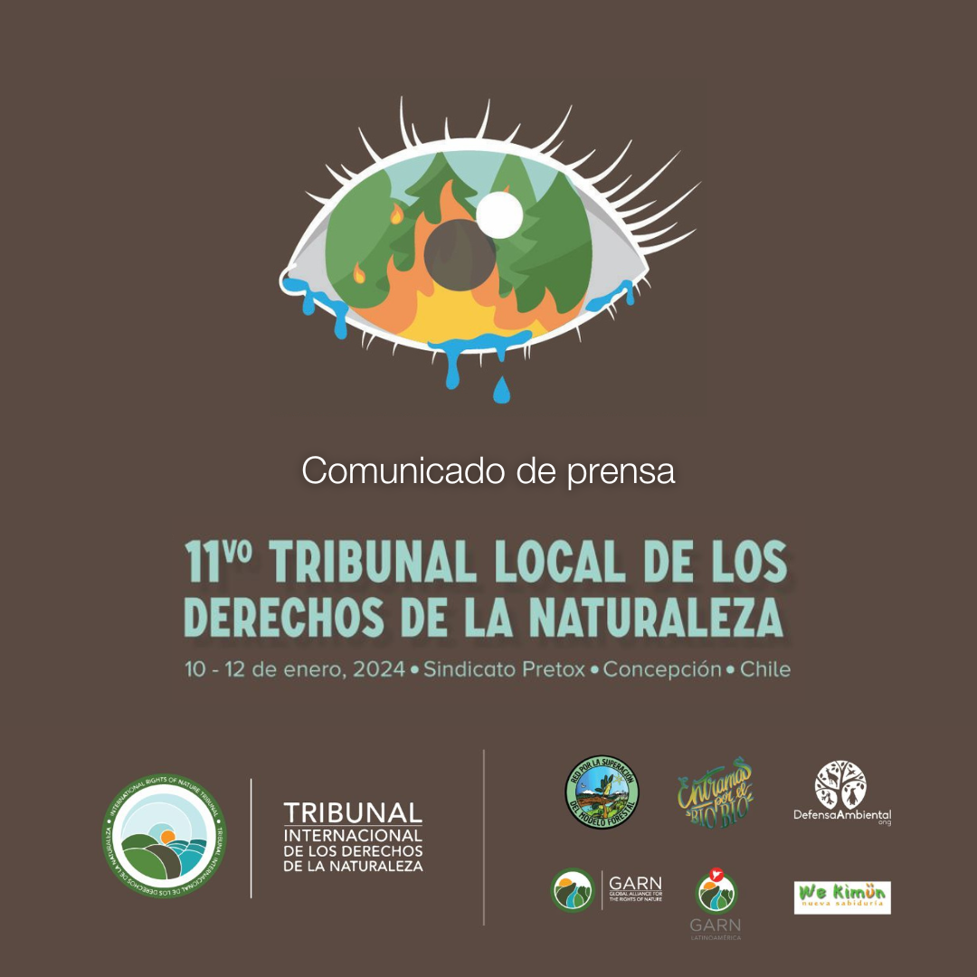 Tribunal de Derechos de la Naturaleza declara ecocidio en Biobío a los impactos provocados por el modelo forestal