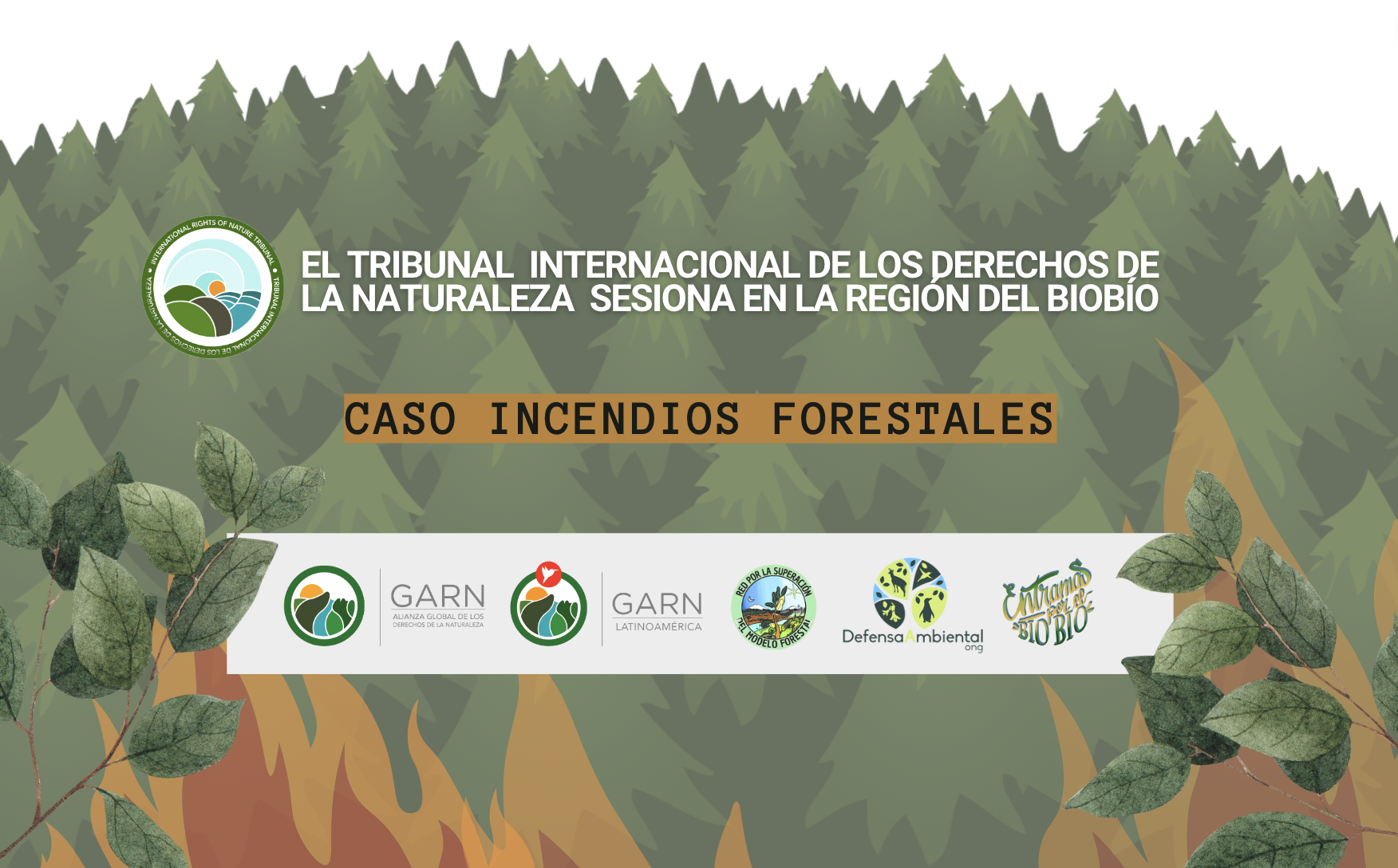 El Tribunal Internacional de los Derechos de la Naturaleza sesionará en el Biobío por modelo forestal y megaincendios  de 2023