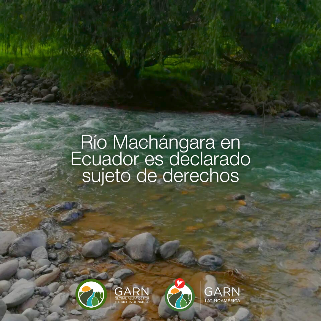 Victoria para los Derechos de la Naturaleza en Ecuador: Río Machángara es declarado sujeto de derechos