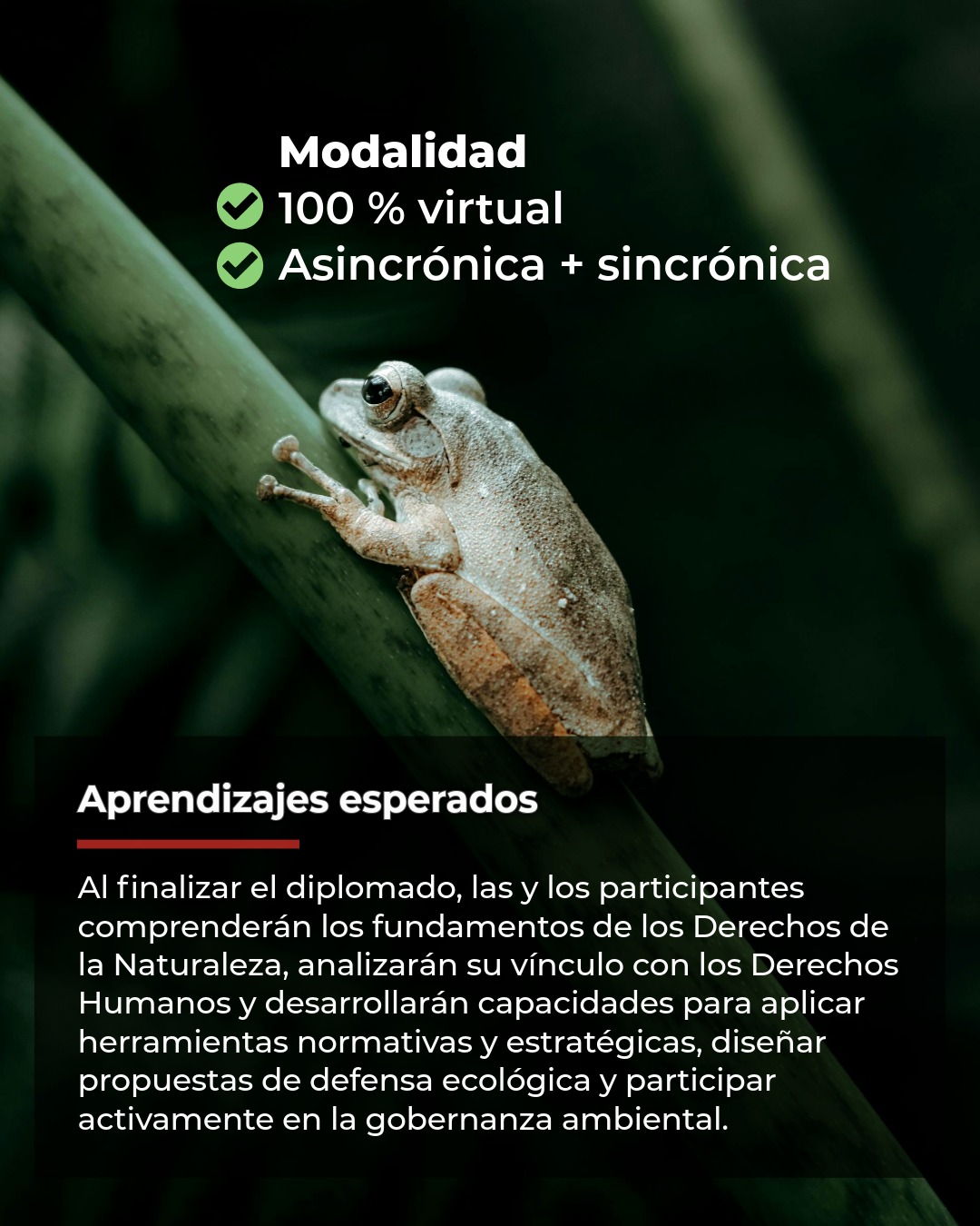 GARN Latinamerica - Rights Of Nature