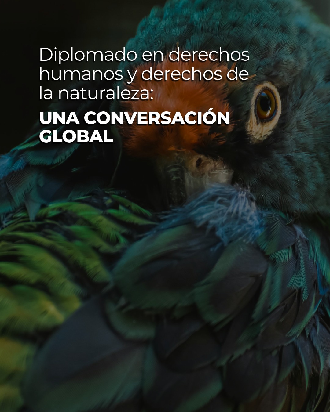 GARN Latinamerica - Rights Of Nature