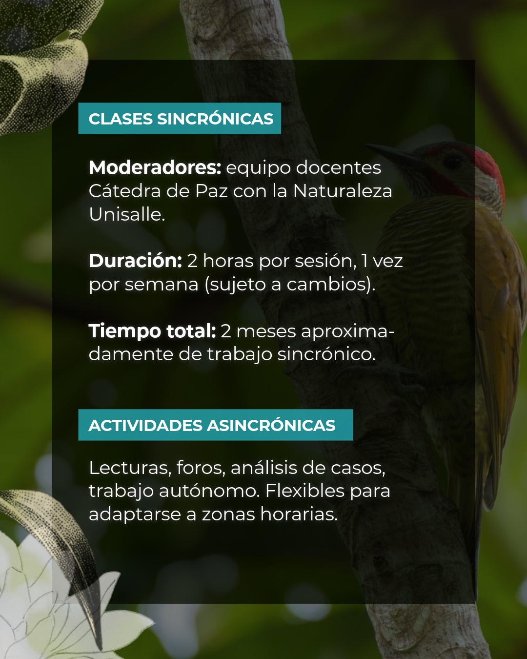GARN Latinamerica - Rights Of Nature